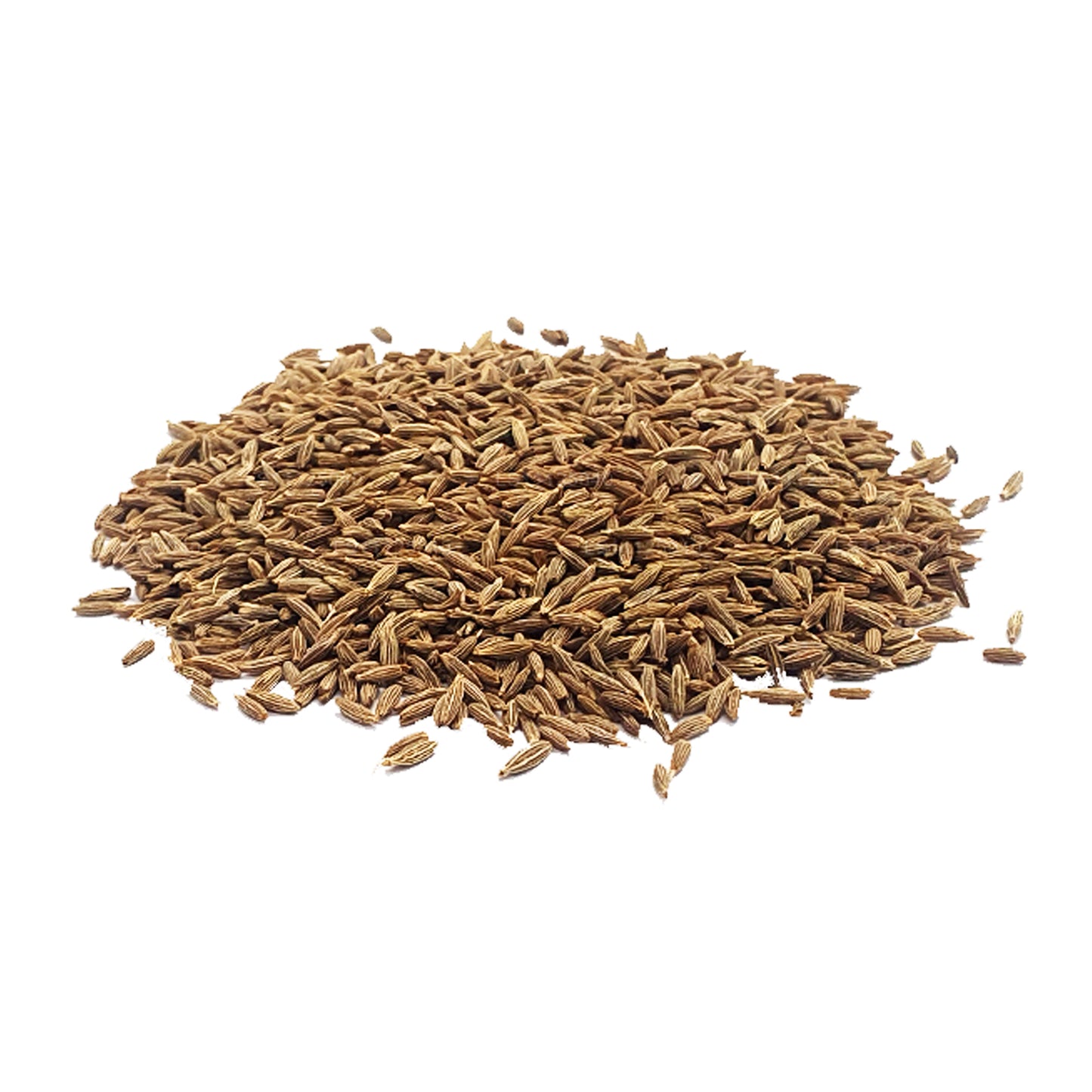 Graines de cumin Lakpura (100 g)