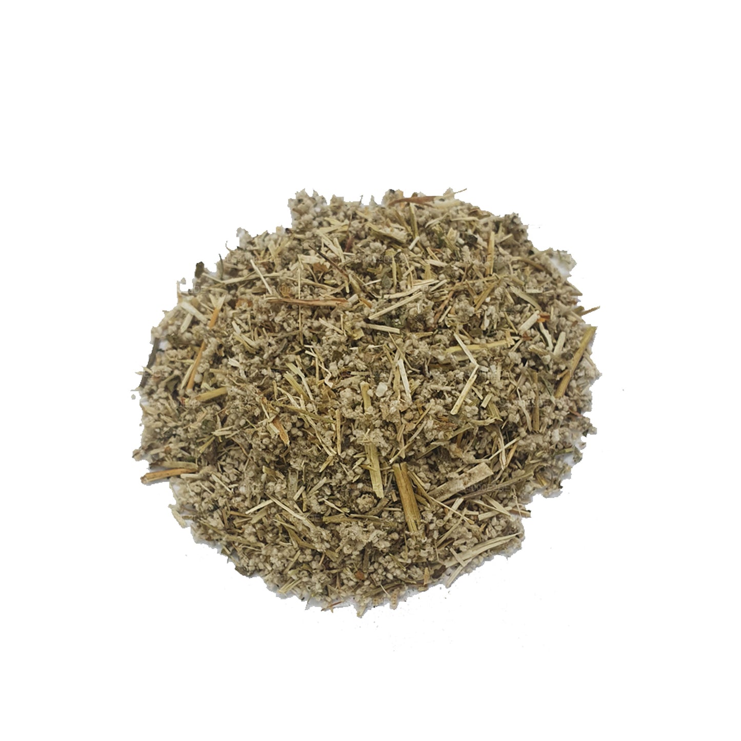 Lakpura déshydraté (Aerva Lanata) Polpala (100g) Boîte