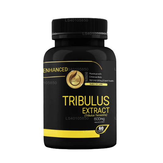 Extrait de Nutra Tribulus ancien (60 capsules)