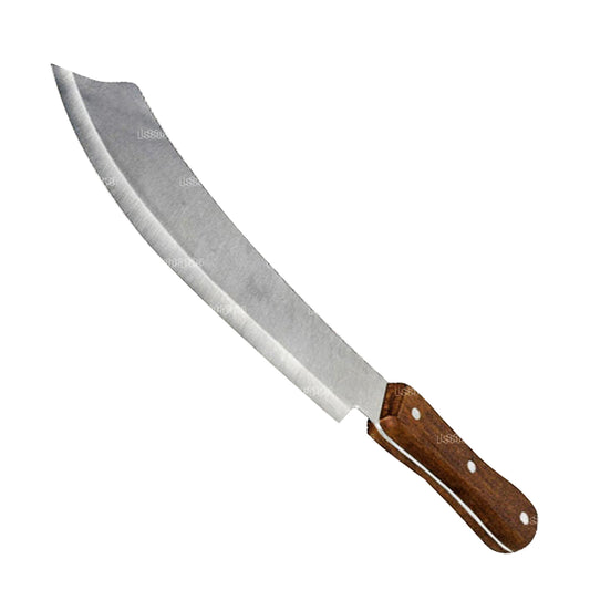 Couteau à poisson Odiris K5