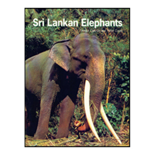 Eléphants du Sri Lanka