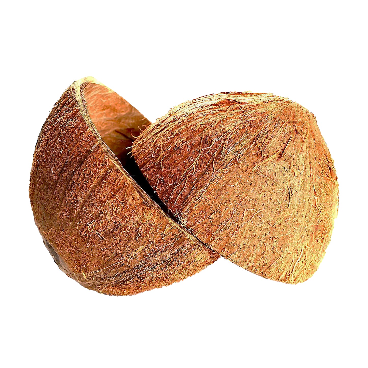 Moitiés de noix de coco (2 pièces)