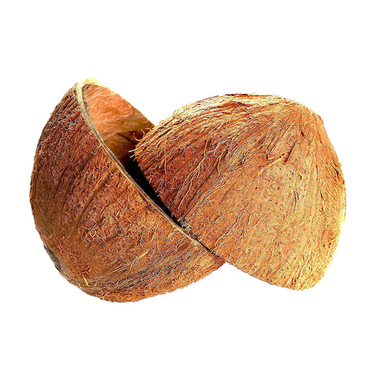 Moitiés de noix de coco (2 pièces)