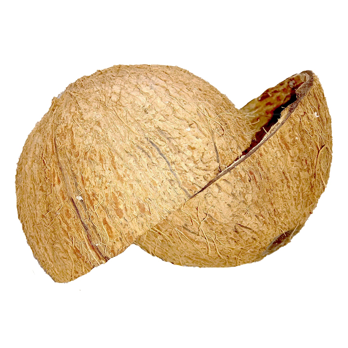 Moitiés de noix de coco (2 pièces)