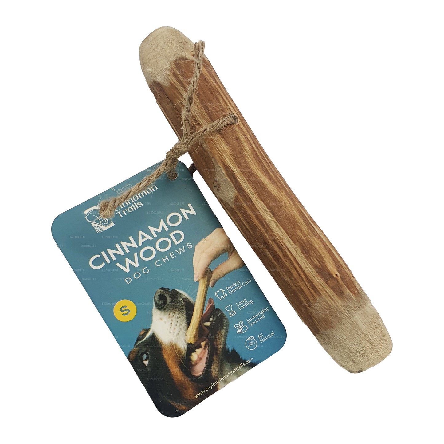 Petit produit à mâcher en bois de cannelle Ceylon Cinnamon Trails pour chiens