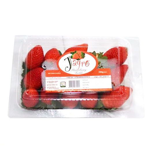 Fraise Jagro (250g)