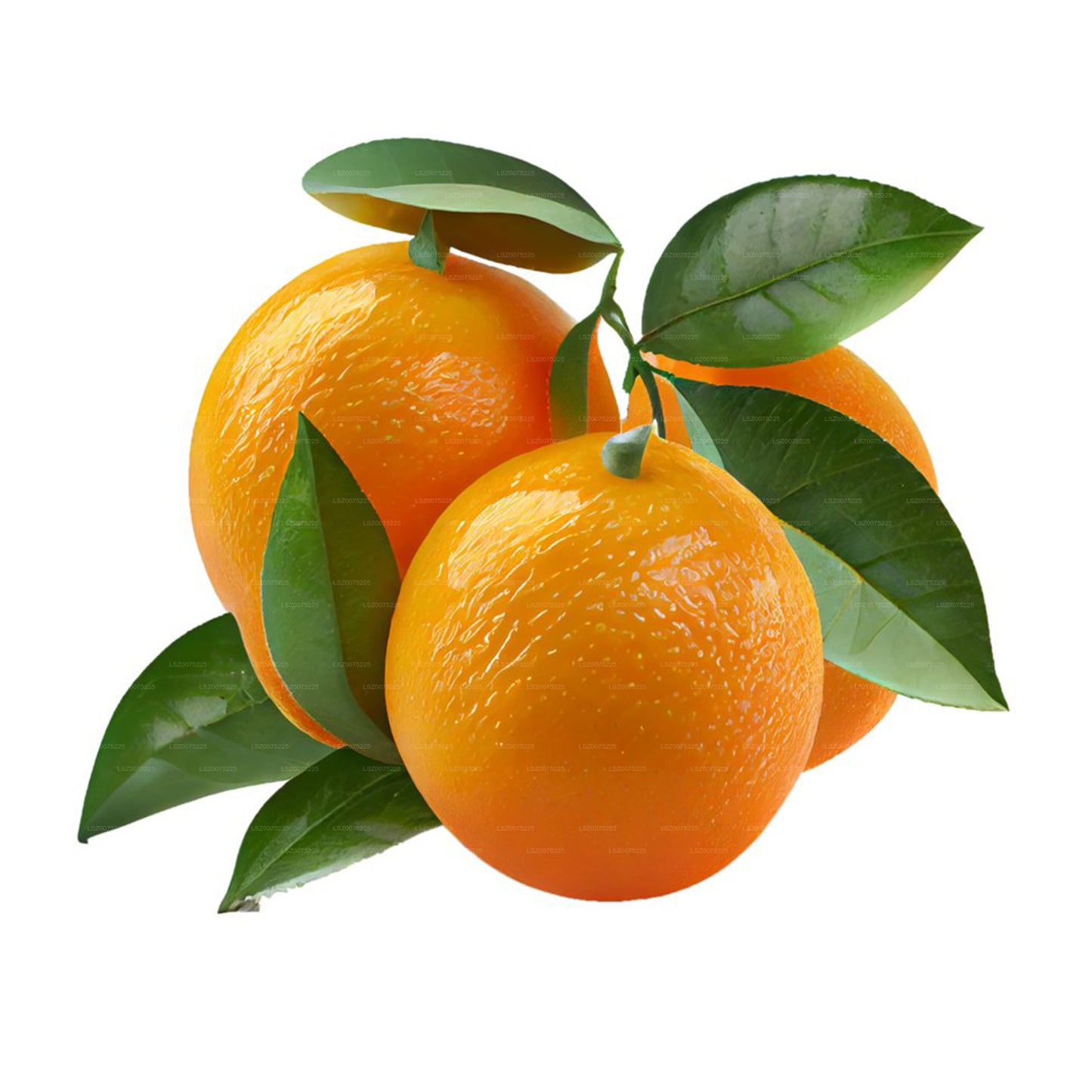 Orange (500g)