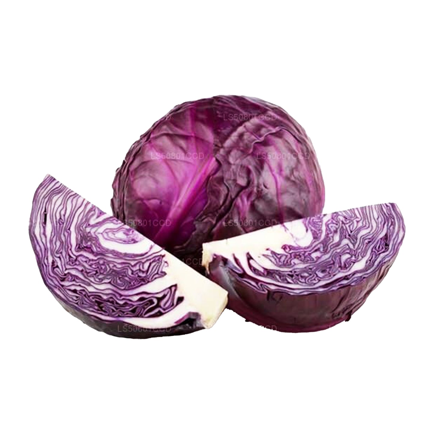 Chou violet (250g)