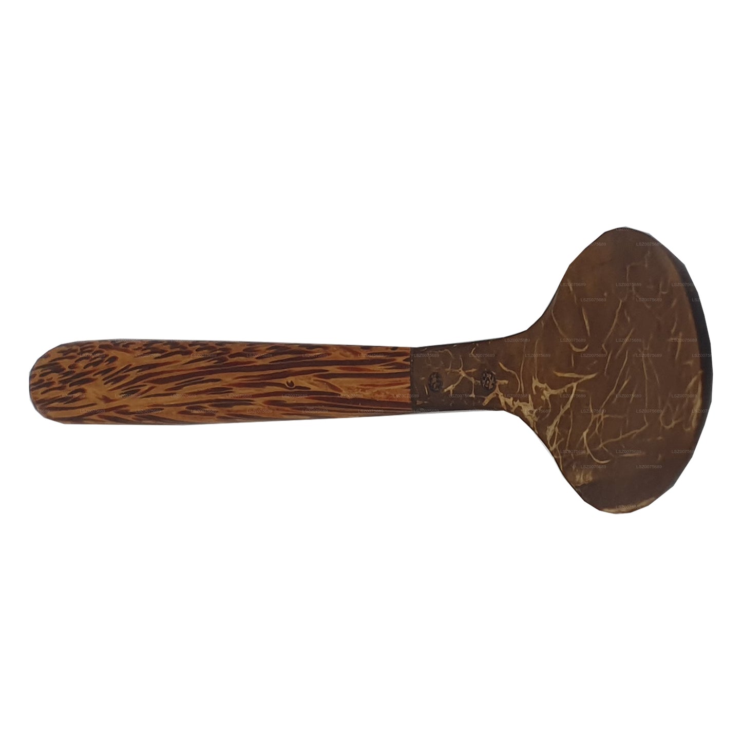 Couverts en coquille de noix de coco Spoon (14 cm)