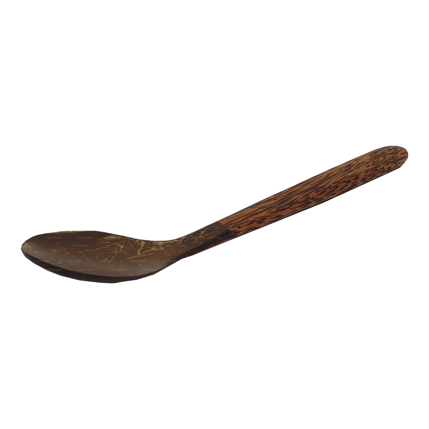 Couverts en coquille de noix de coco Spoon (14 cm)