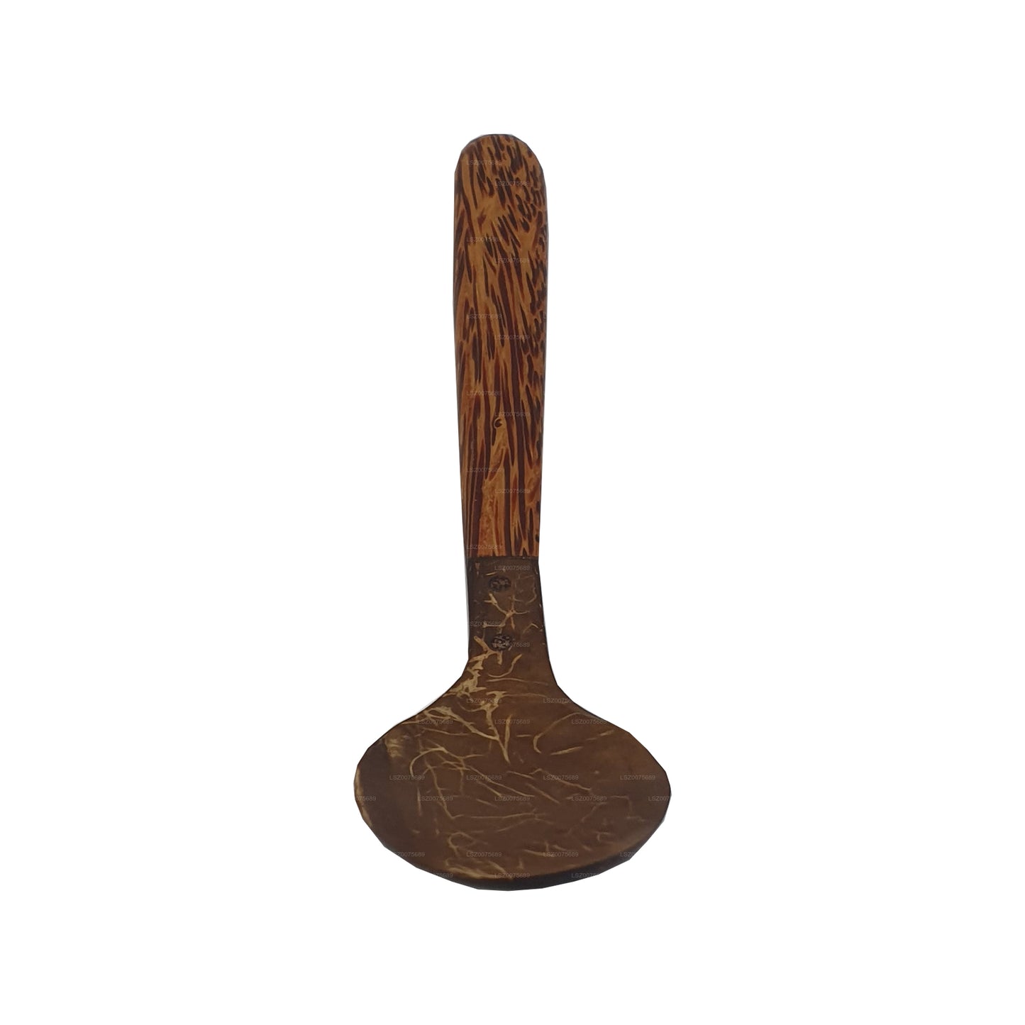 Couverts en coquille de noix de coco Spoon (14 cm)