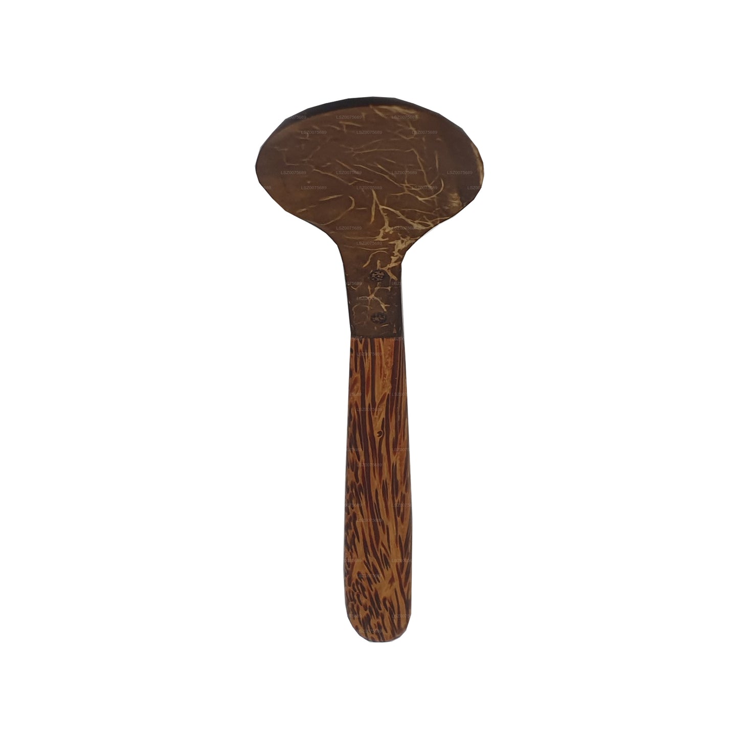 Couverts en coquille de noix de coco Spoon (14 cm)