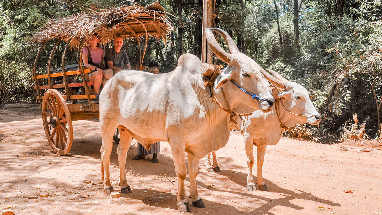 Excursion sur la faune et le patrimoine mondial au départ de Galle (2 jours)