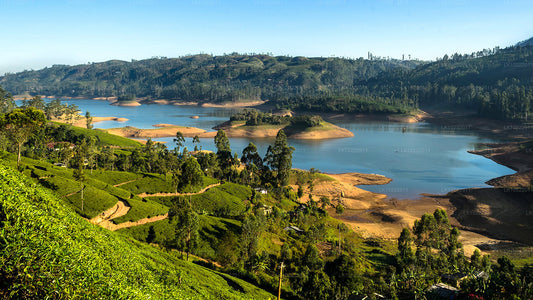 Highland Glory au départ de Kandy (2 jours)