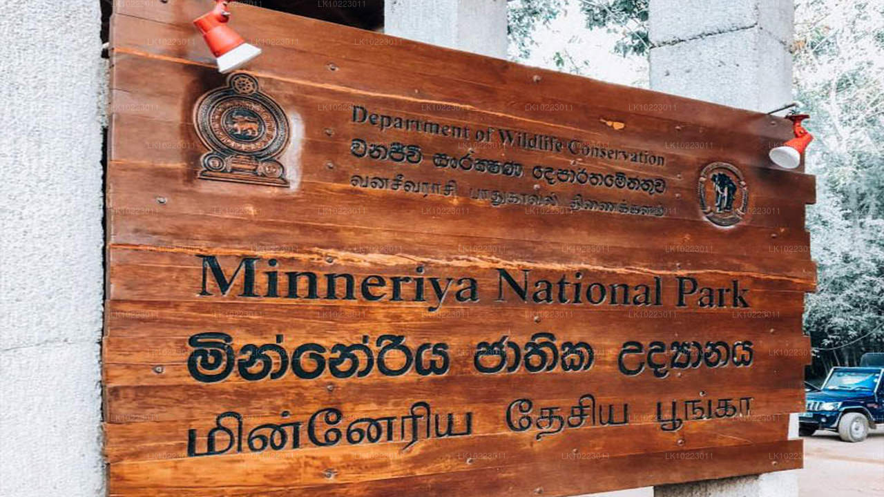 Sigirya et Minneriya depuis Negombo (2 jours)