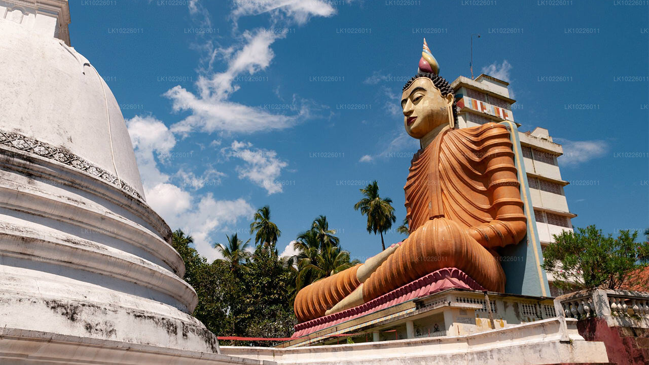 Temples et nature sauvage depuis Negombo (2 jours)