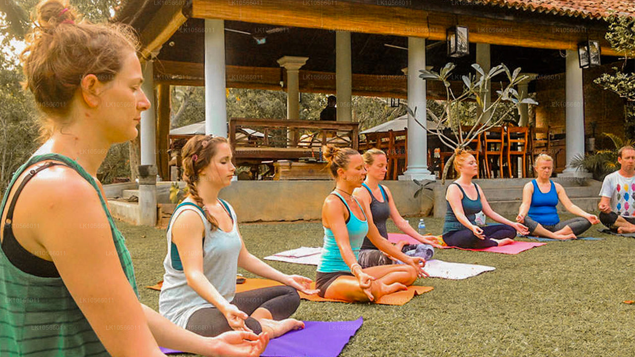 Visite de méditation et de yoga (5 jours)