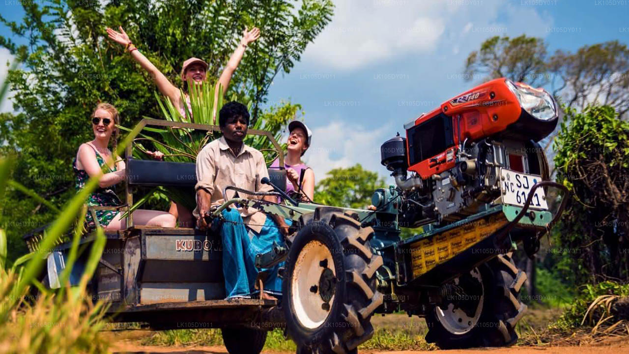 Excursion agricole au Sri Lanka (6 jours)