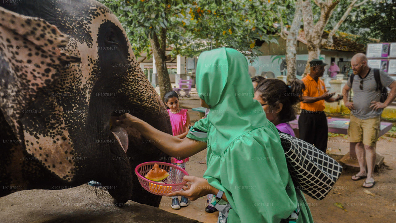 Circuit halal (islamique) au Sri Lanka (7 jours)