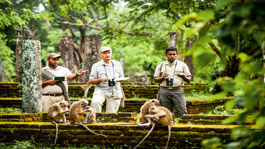 Explorez le royaume des singes depuis Polonnaruwa
