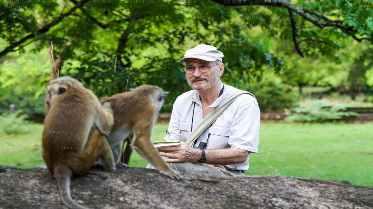 Explorez le royaume des singes depuis Polonnaruwa