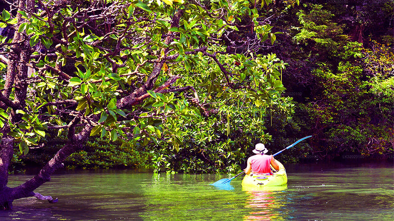 Canoë-kayak sur la rivière Mahaweli au départ de Kandy