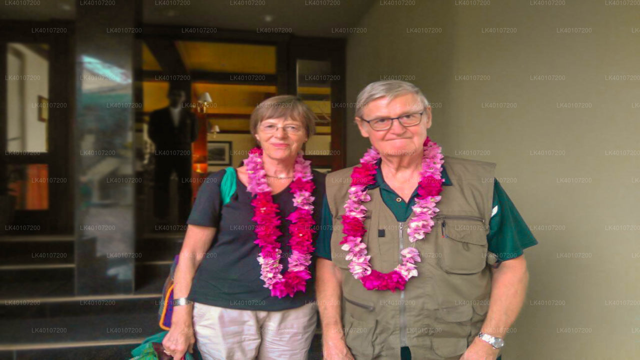 Transfert privé de l'aéroport de Colombo (CMB) à Sigiriya