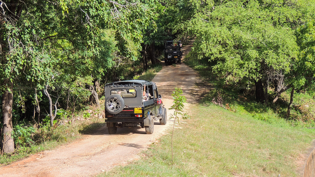 Safari privé au parc national de Kaudulla