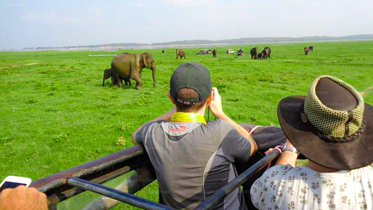 Safari privé dans le parc écologique Hurulu