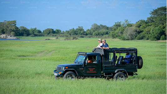 Safari privé dans le parc national de Wilpattu