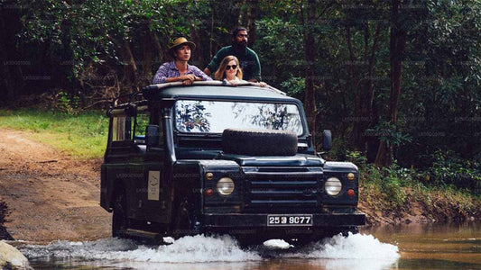 Safari privé dans le parc national d'Udawalawe avec un naturaliste