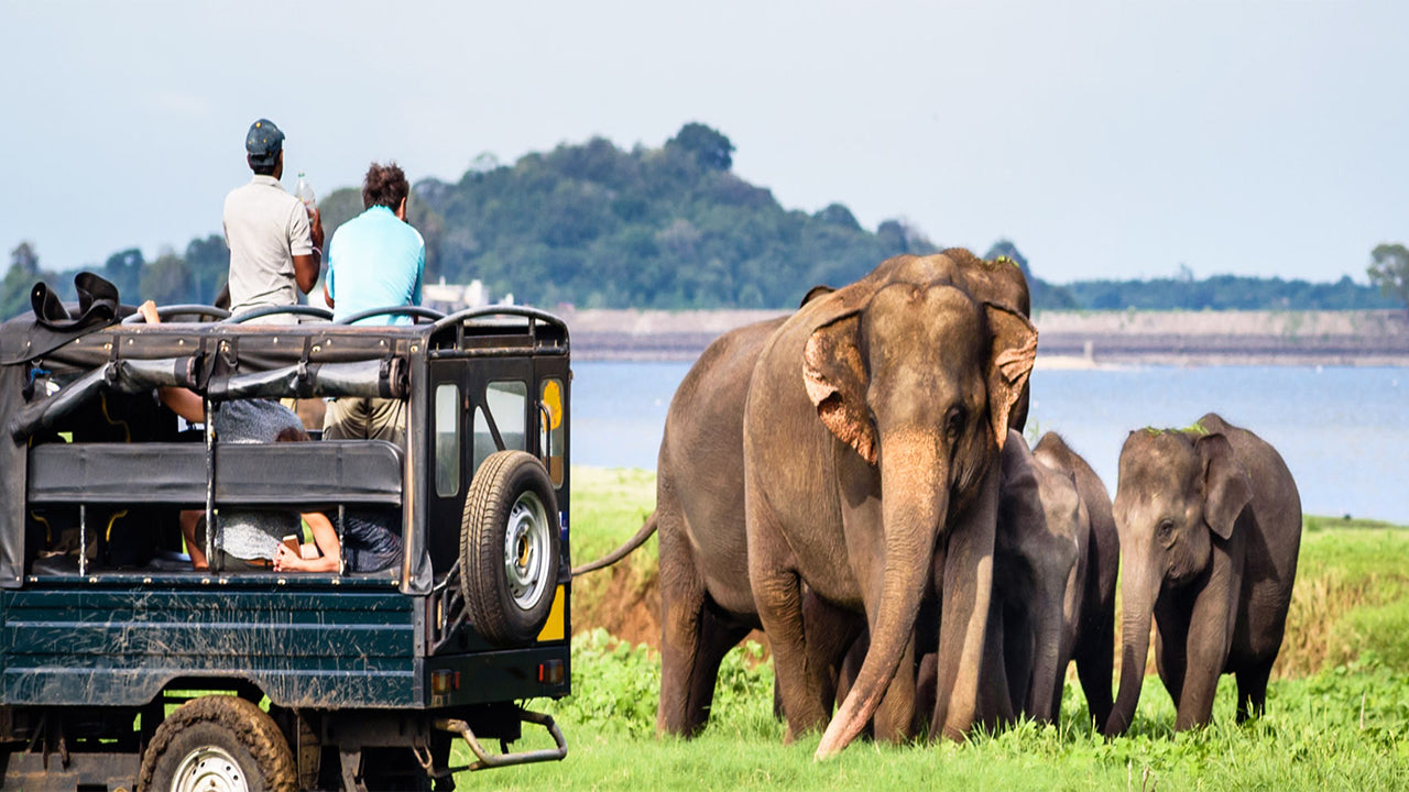 Safari privé dans le parc national de Bundala