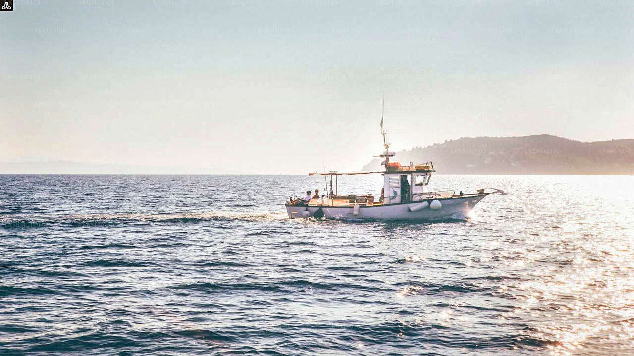 Excursion en bateau de pêche en haute mer au départ de Hikkaduwa