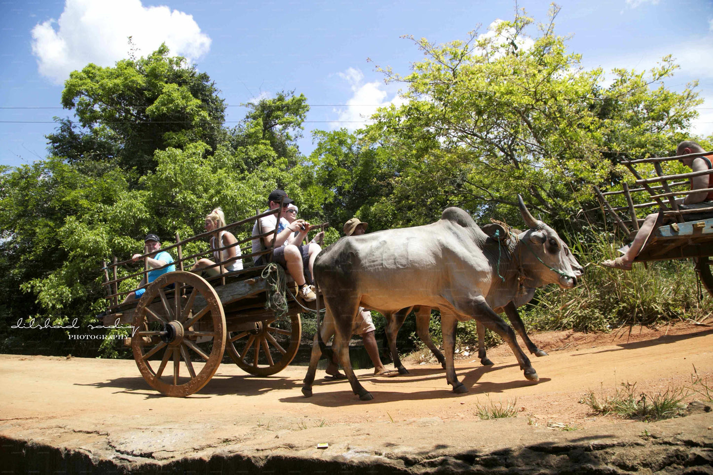 Visite du rocher et du village de Sigiriya au départ de Colombo