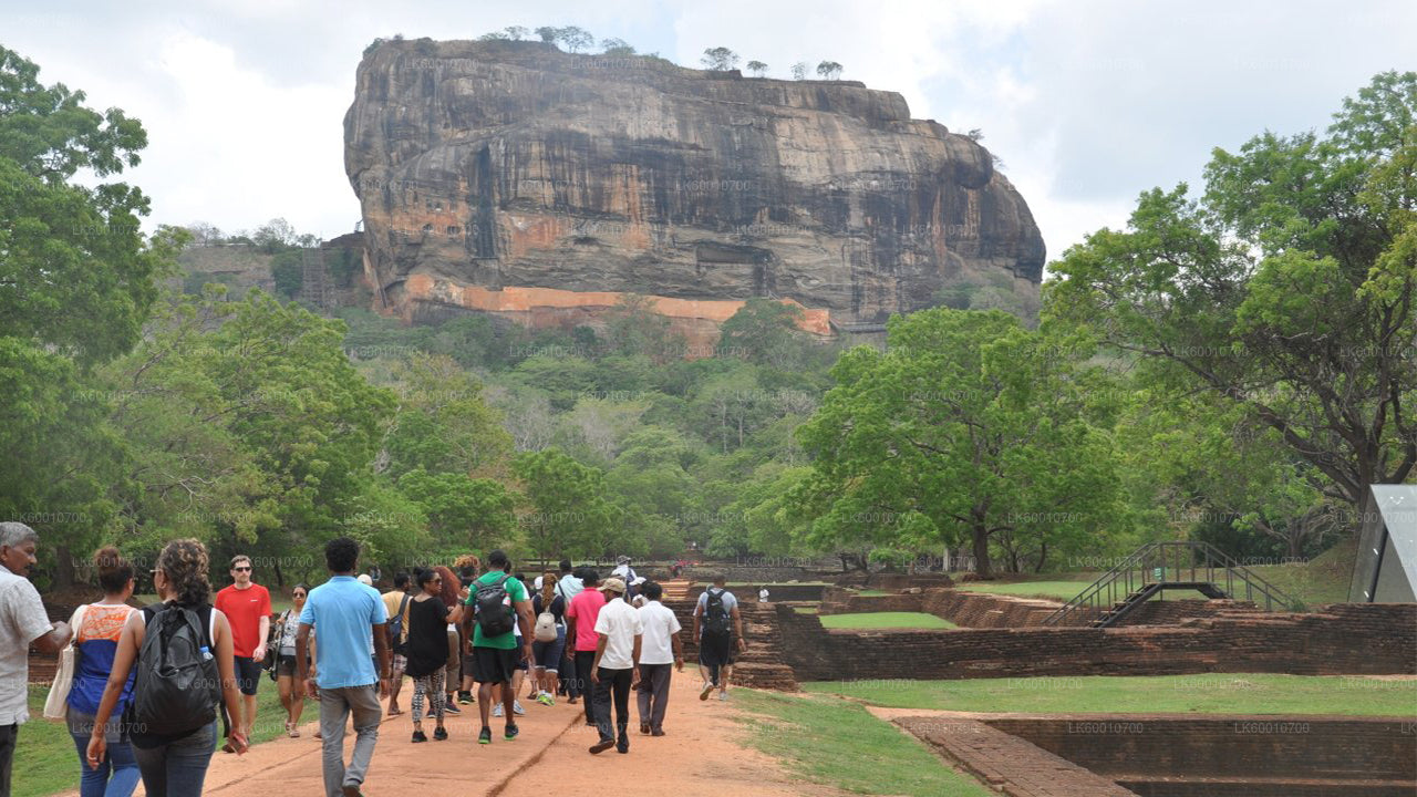 Visite du rocher et du village de Sigiriya au départ de Colombo
