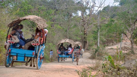 Visite de la vie du village au départ de Kandy