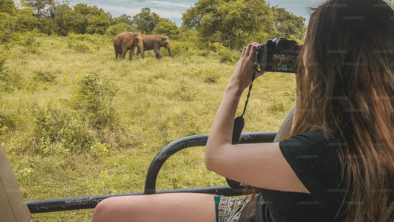 Safari au parc national d'Udawalawe au départ d'Ella