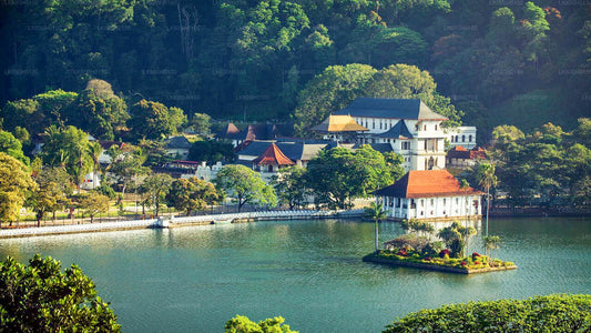 Visite de la ville de Kandy au départ de Colombo