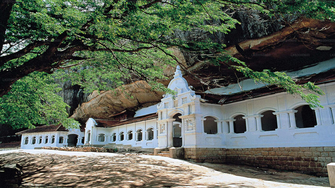 Sigiriya et Dambulla depuis Colombo