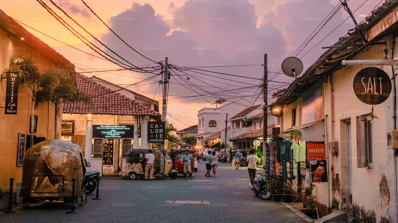 Southern Coast Highlights from Colombo