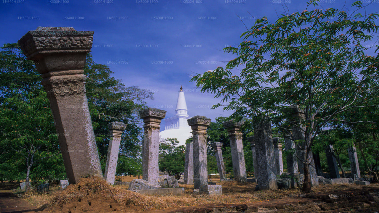 Ville sacrée d'Anuradhapura depuis Colombo