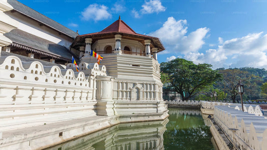 Visite de la ville de Kandy et visite de la Millennium Elephant Foundation au départ de Colombo