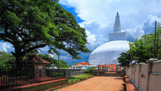 Ville sacrée d'Anuradhapura depuis Dambulla
