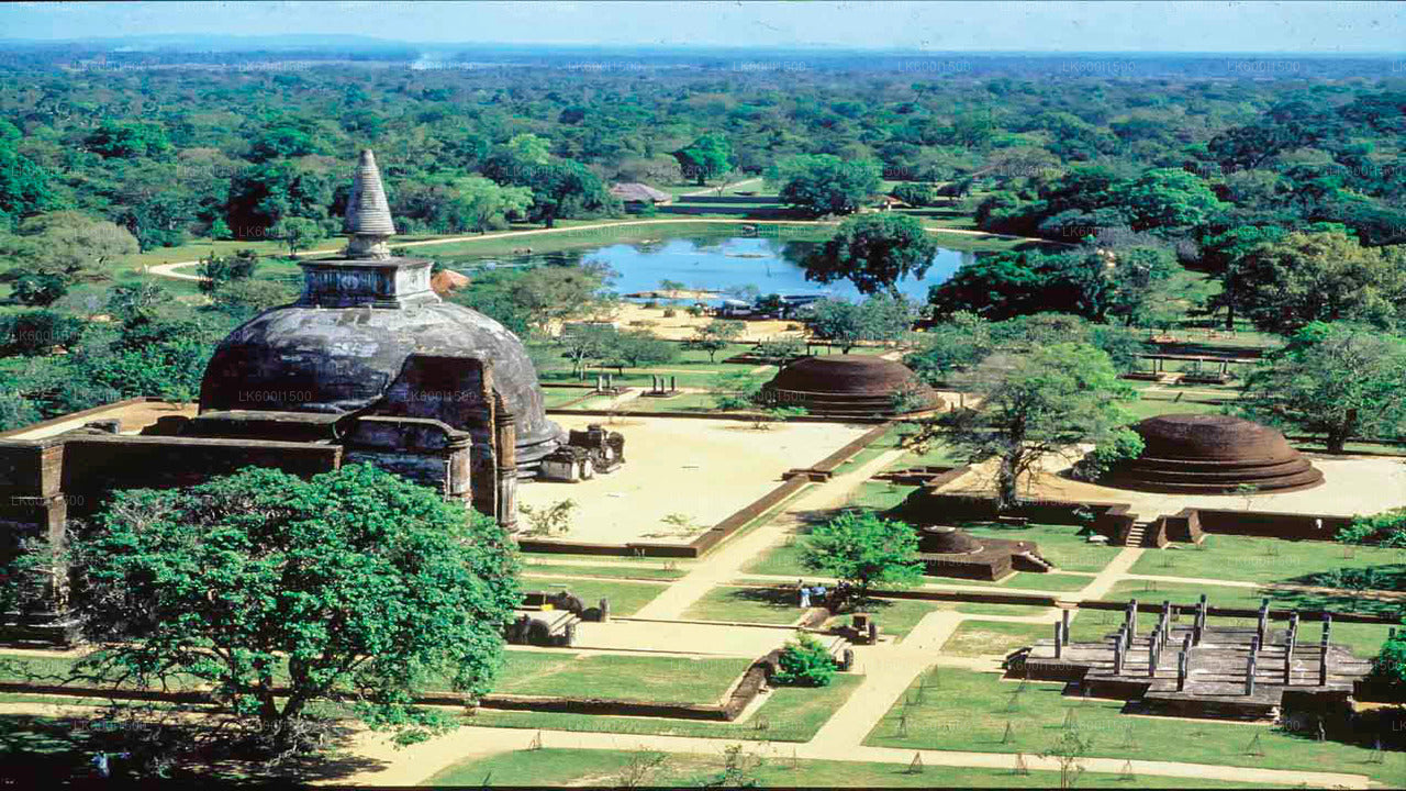 Ancien royaume de Polonnaruwa et safari à dos d'éléphants sauvages au départ de Dambulla