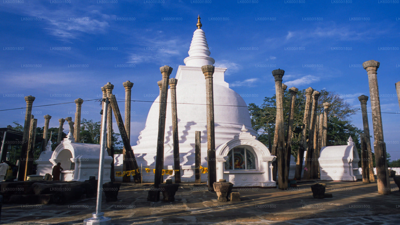Visite des icônes bouddhistes d'Anuradhapura au départ de Dambulla