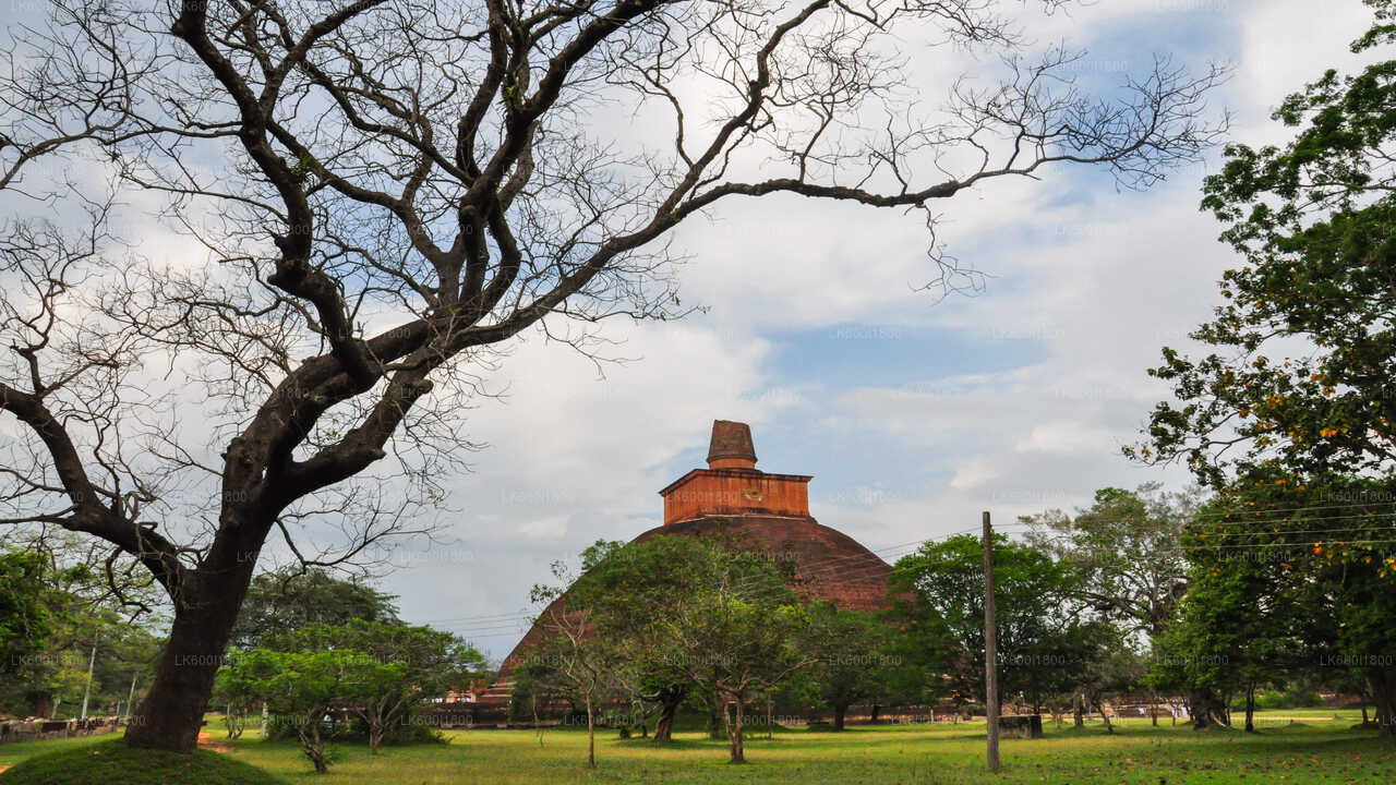 Visite des icônes bouddhistes d'Anuradhapura au départ de Dambulla