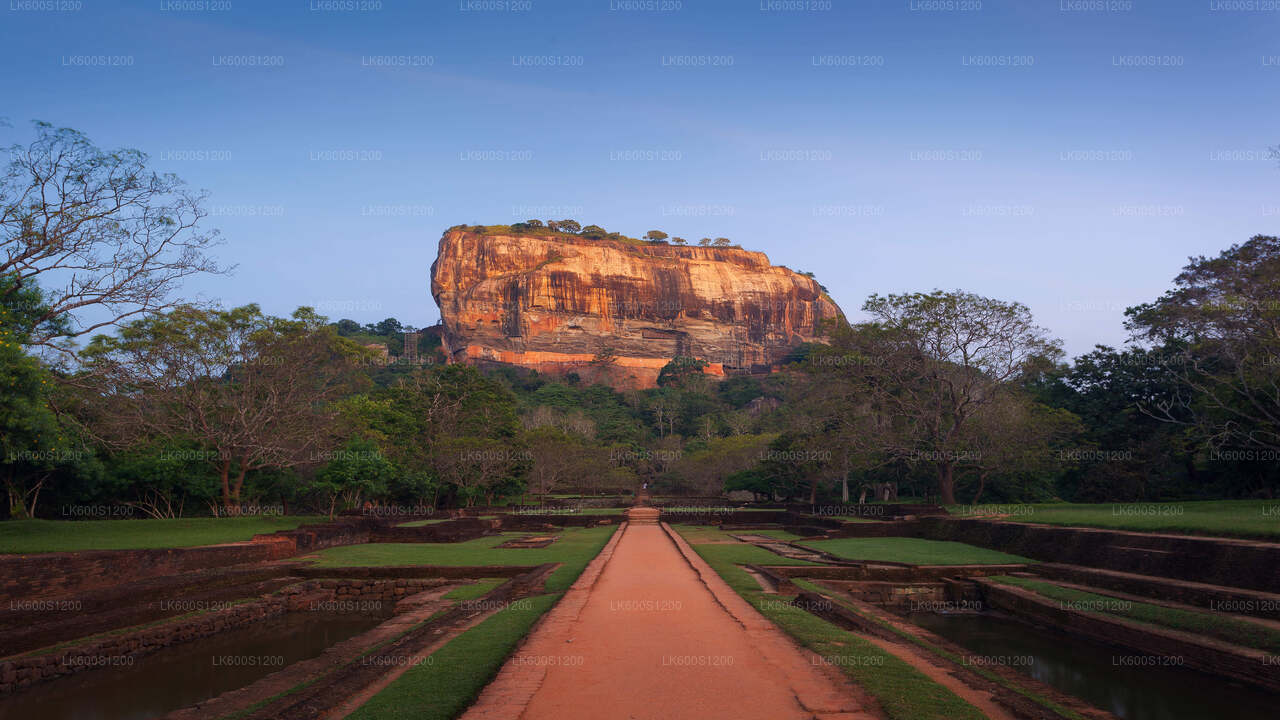 Safari sur le rocher de Sigiriya et les éléphants sauvages au départ de Habarana