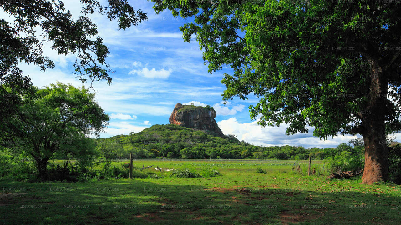 Rocher de Sigiriya et grotte de Dambulla depuis Kalutara