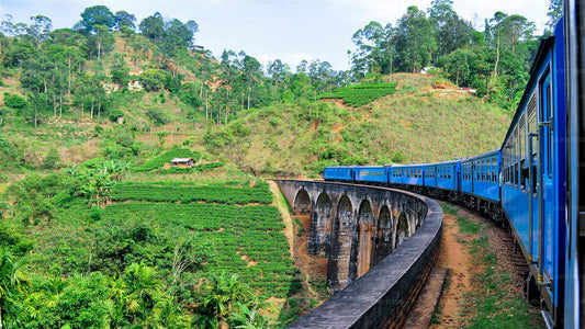 Balade panoramique en train vers Ella depuis Kandy