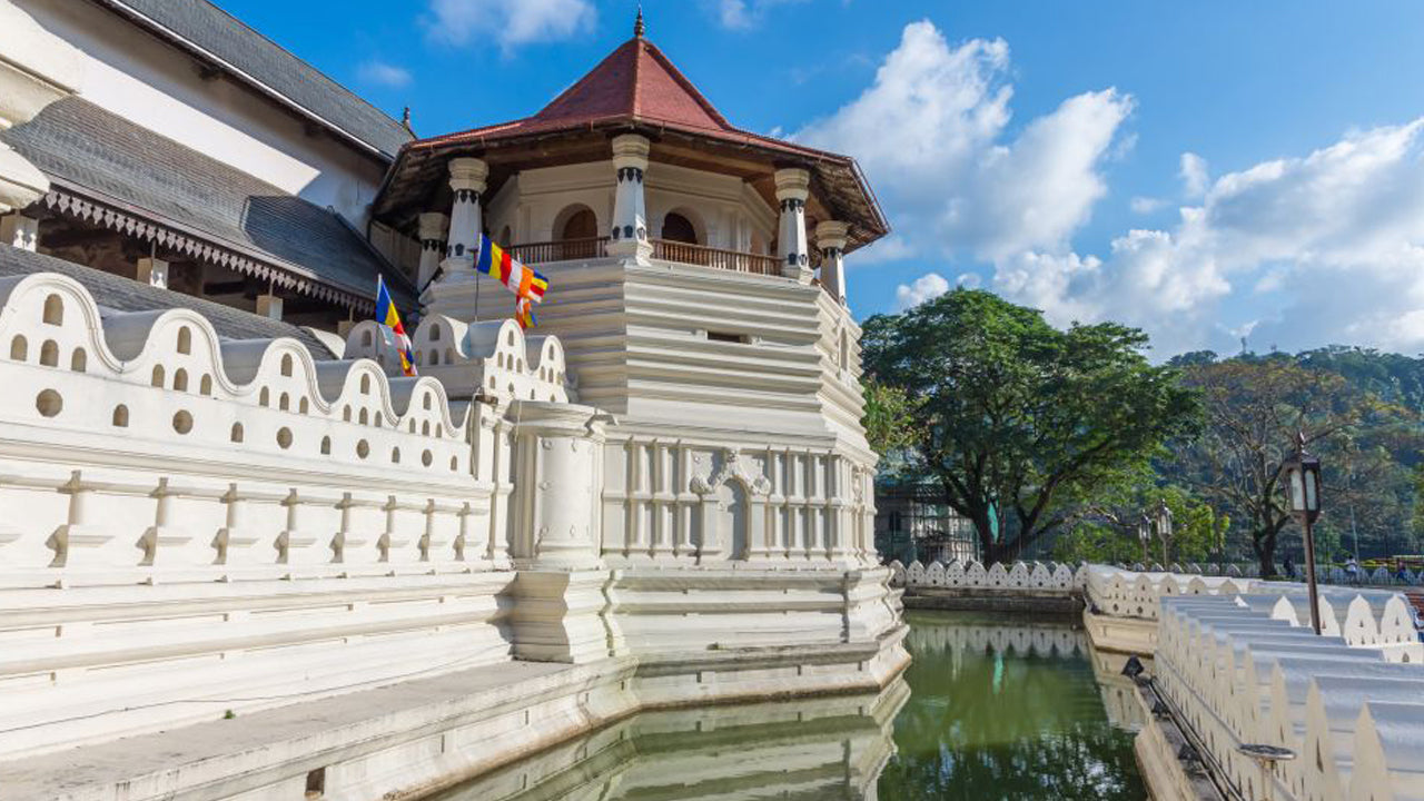 Excursion à Pinnawala et Kandy au départ de Colombo